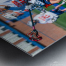  DSC2182 Enhanced NR Metal print