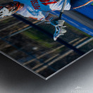  DSC2312 Enhanced NR Metal print