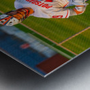  DSC2786 Enhanced NR Metal print