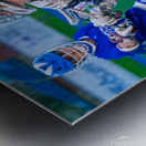  DSC3015 Enhanced NR Metal print