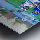  DSC3046 Enhanced NR Metal print