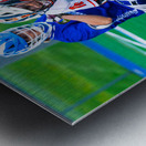  DSC2941 Enhanced NR Metal print