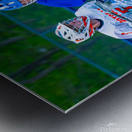  DSC2978 Enhanced NR Metal print