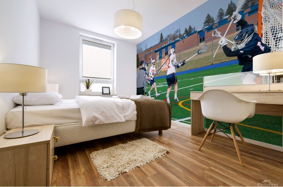 Potsdam Lacrosse Mural print