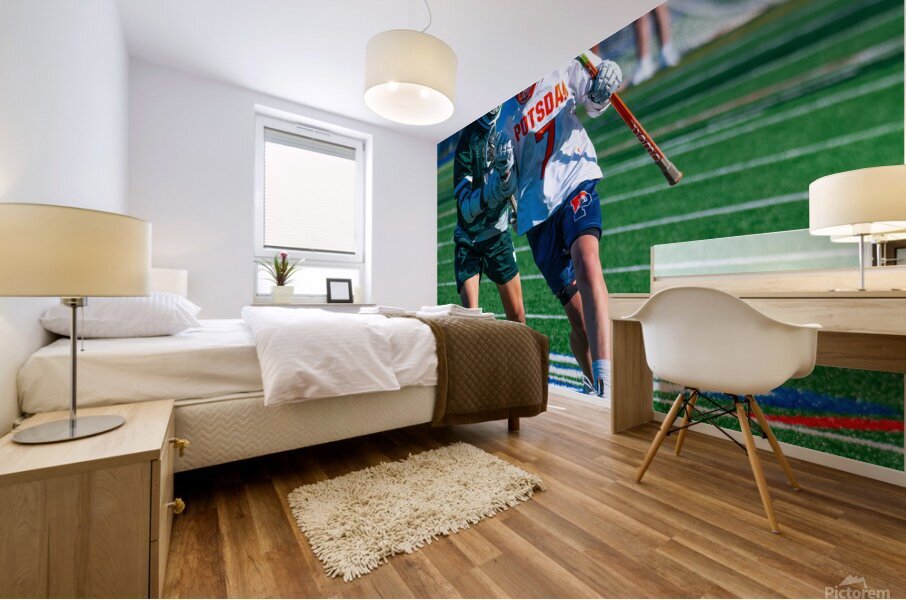  DSC2193 Enhanced NR Mural print