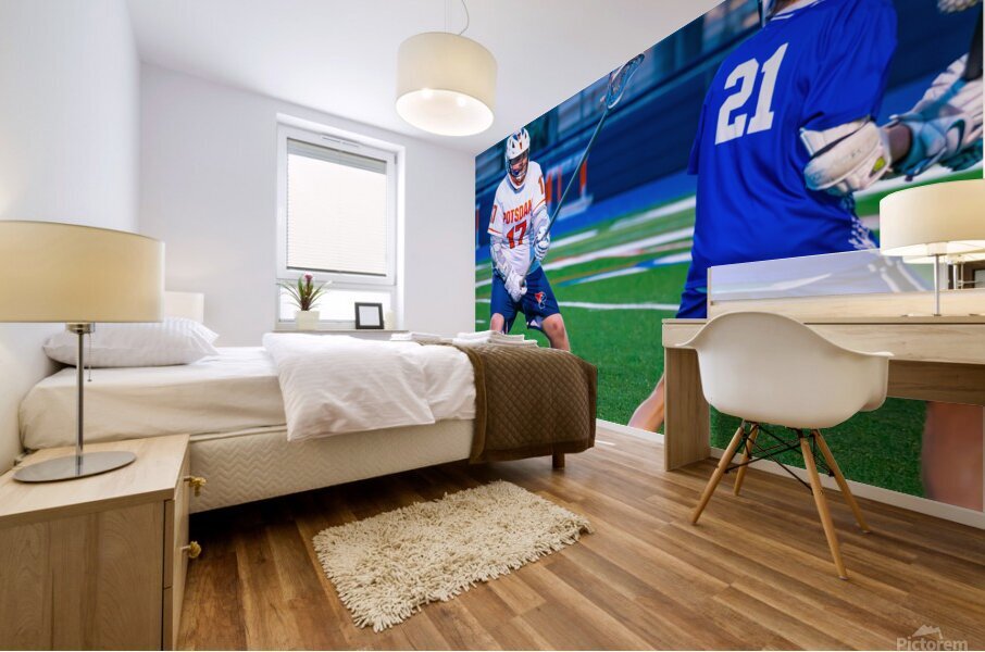  DSC3062 Enhanced NR Mural print