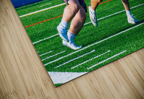  DSC2312 Enhanced NR Jerrid Lavoie puzzle