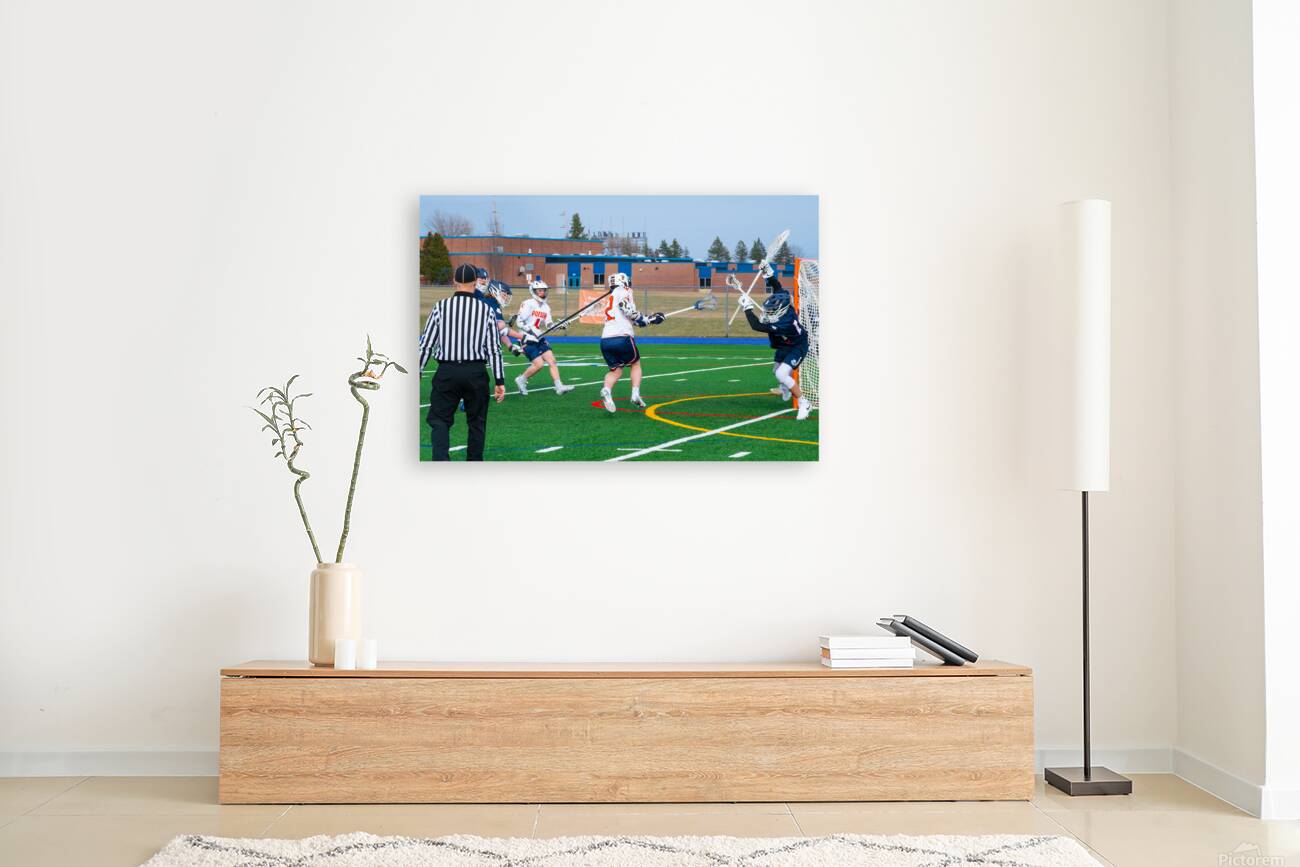 Potsdam Lacrosse Reproduction