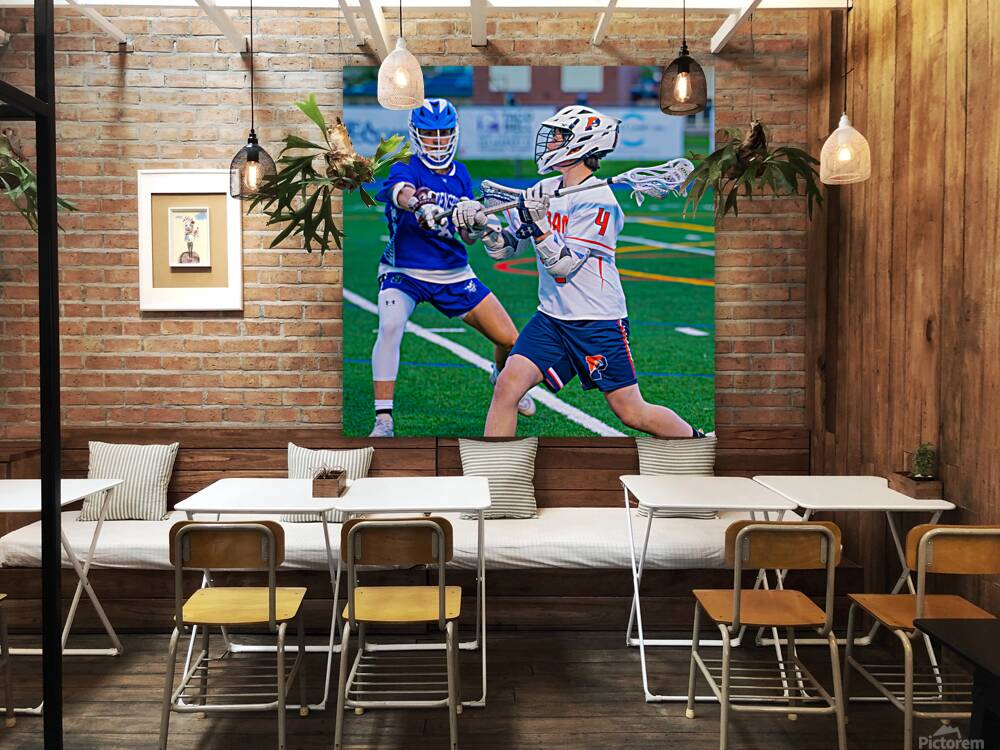  DSC3015 Enhanced NR Reproduction