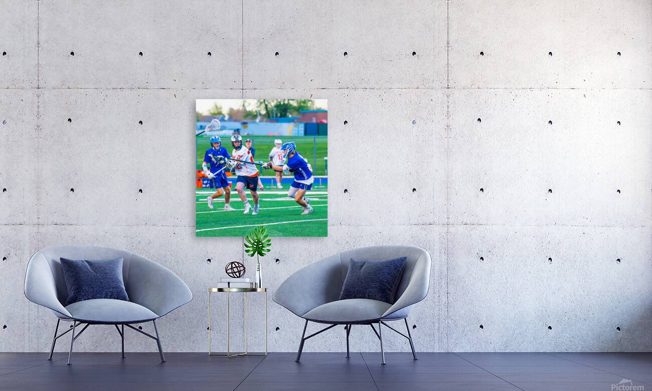  DSC3046 Enhanced NR Reproduction