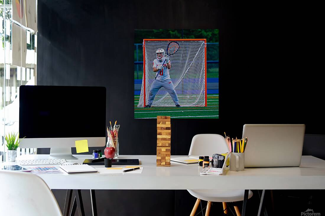  DSC2989 Enhanced NR Reproduction