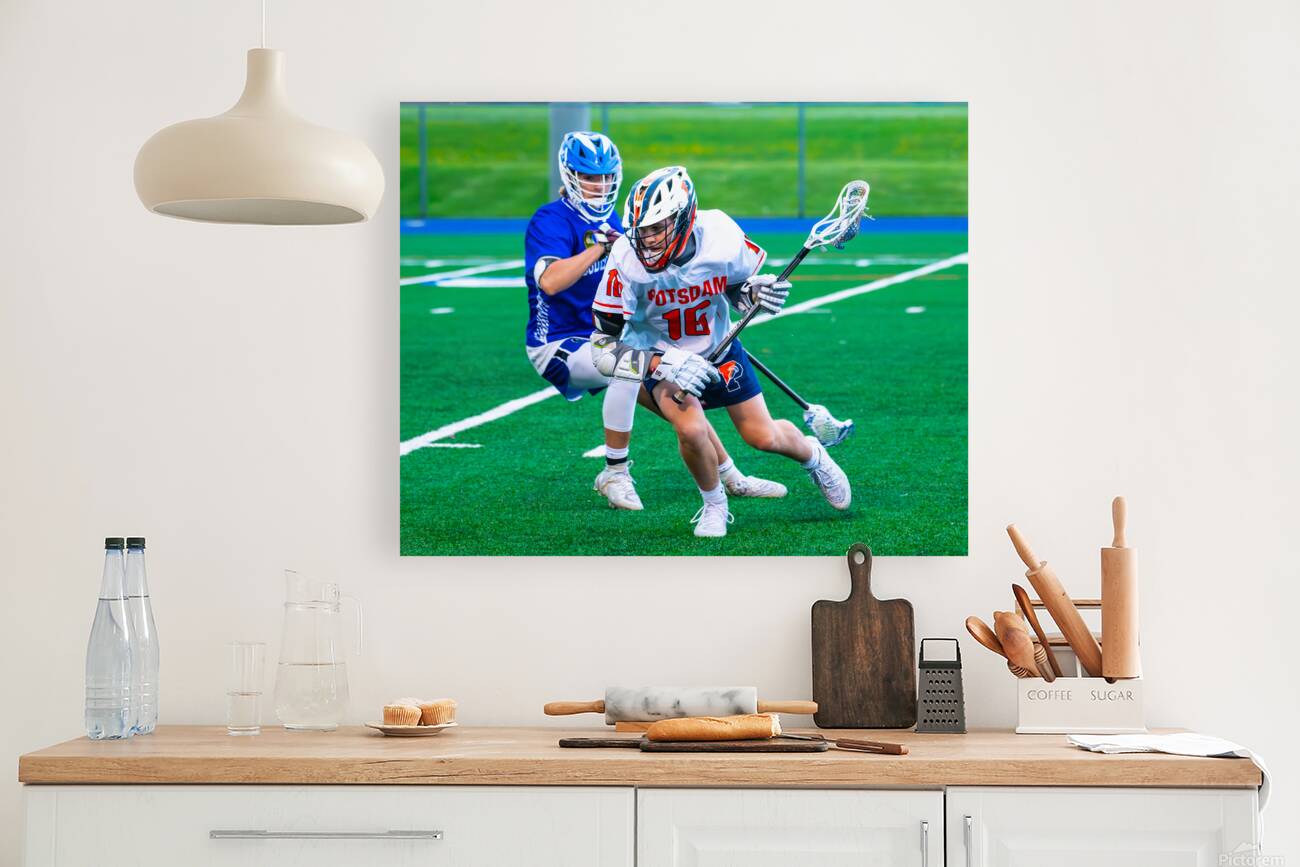  DSC2941 Enhanced NR Reproduction