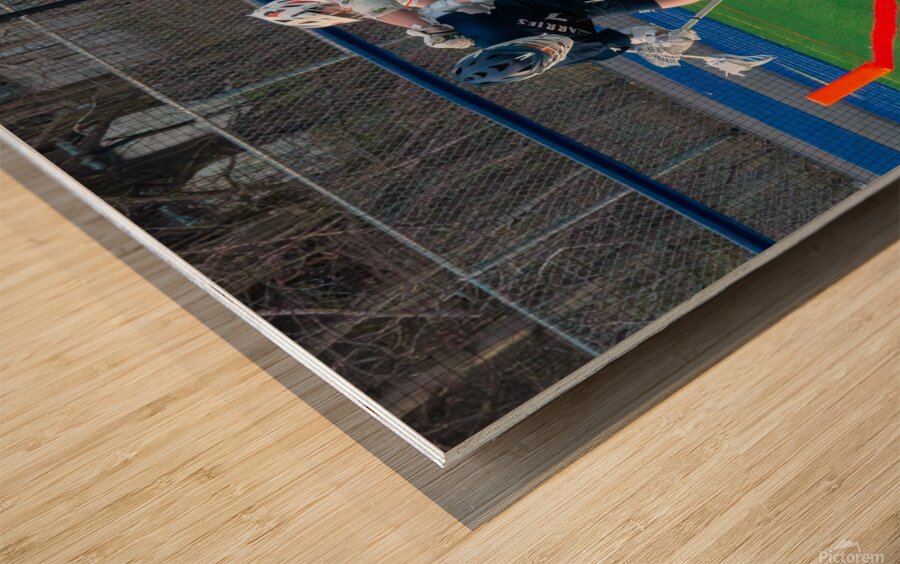 Potsdam Lacrosse Wood print