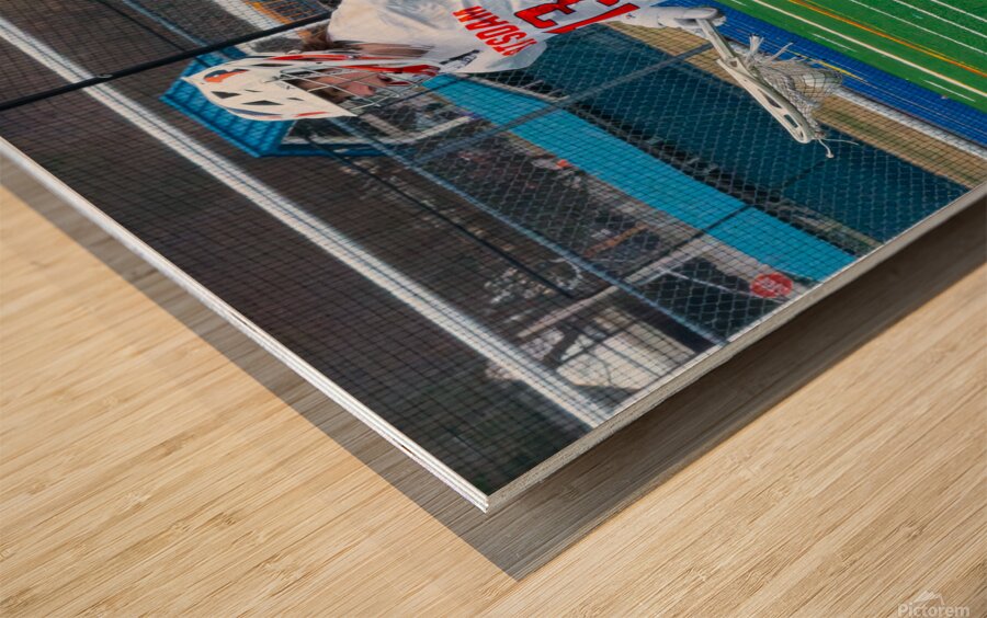 Potsdam Lacrosse Wood print