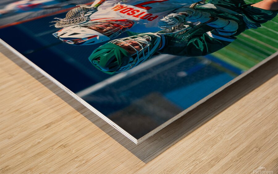  DSC2193 Enhanced NR Wood print