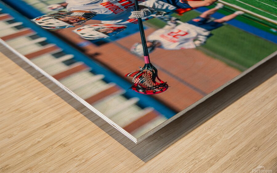  DSC2182 Enhanced NR Wood print