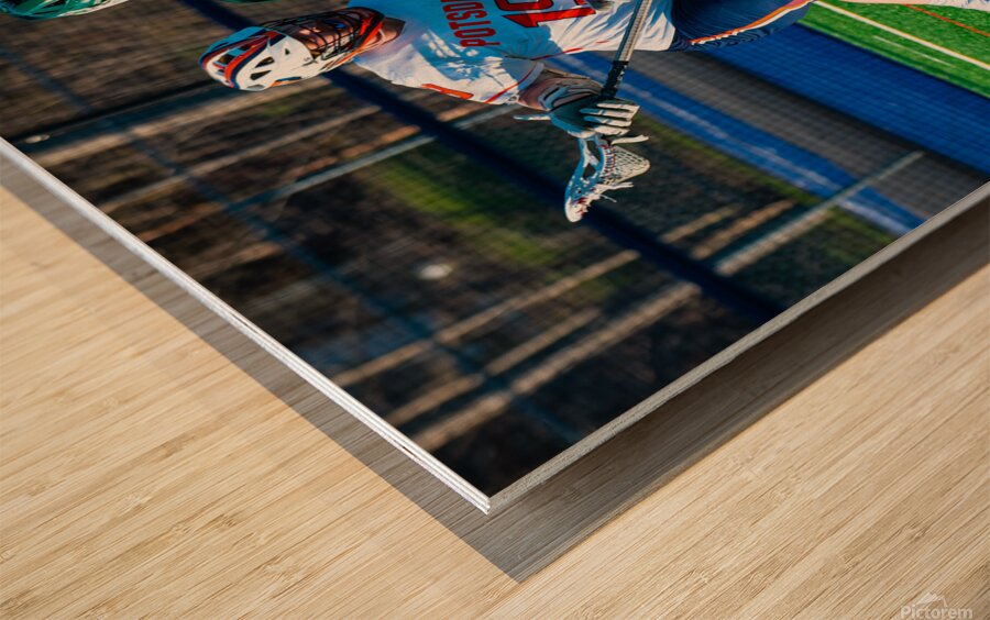  DSC2312 Enhanced NR Wood print