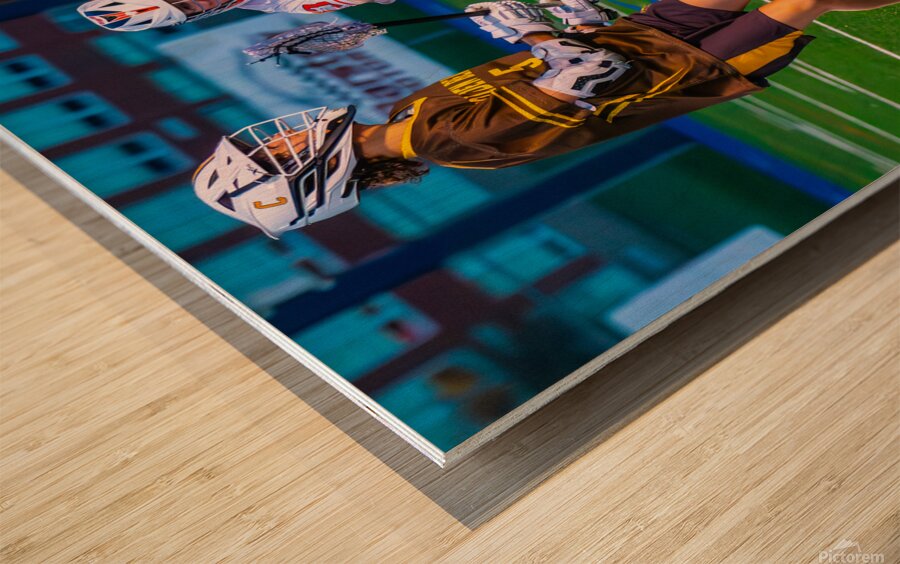  DSC2806 Enhanced NR Wood print