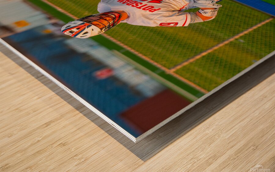  DSC2786 Enhanced NR Wood print