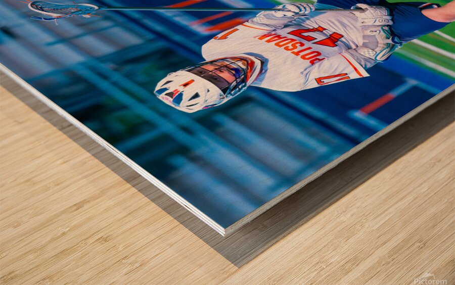  DSC3062 Enhanced NR Wood print