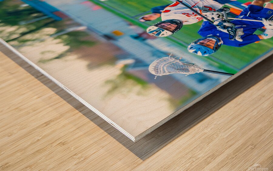  DSC3046 Enhanced NR Wood print