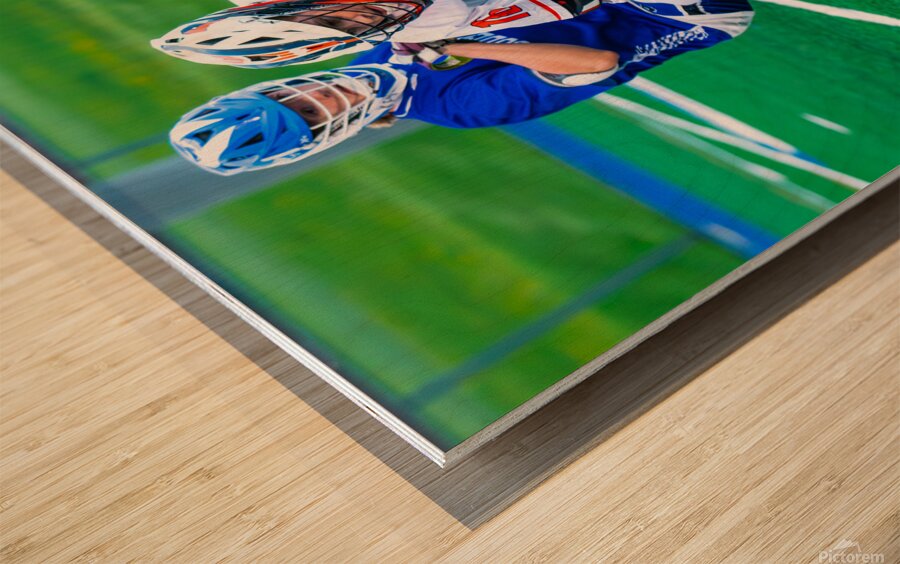  DSC2941 Enhanced NR Wood print