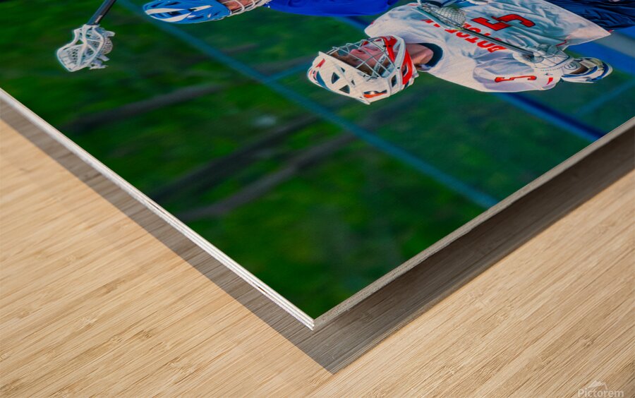  DSC2978 Enhanced NR Wood print