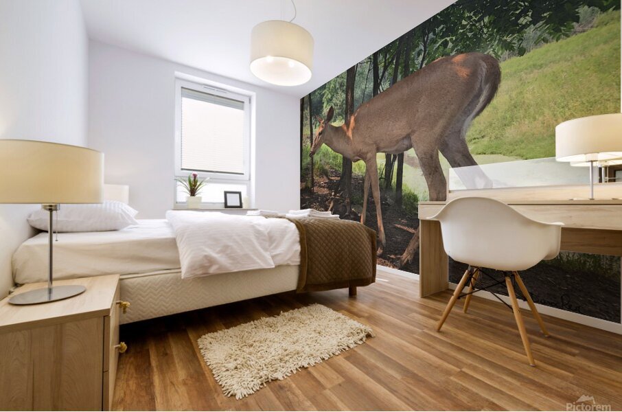 Deer Mural print