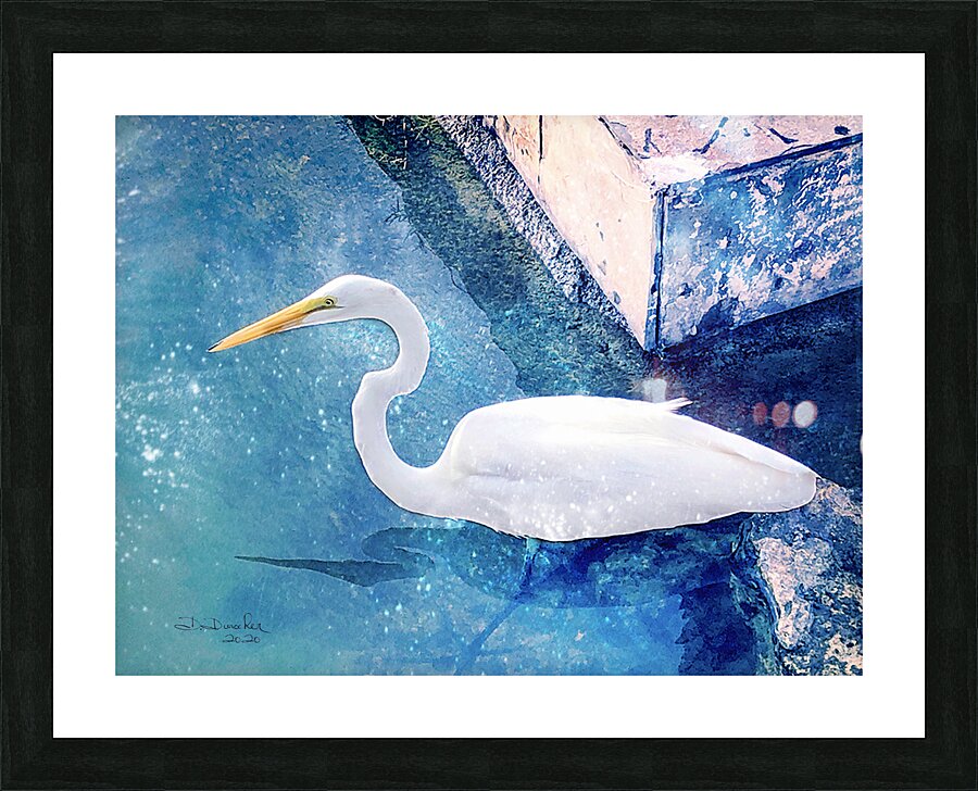 Egret Picture Frame print