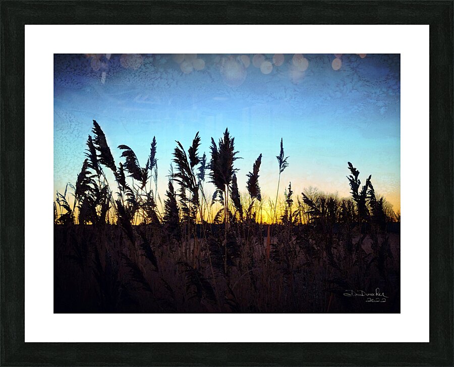 Sunrise Picture Frame print