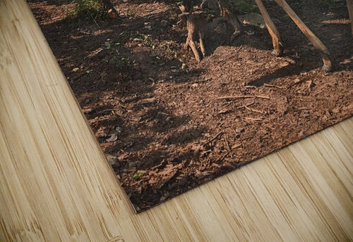 Deer Dan Durocher puzzle