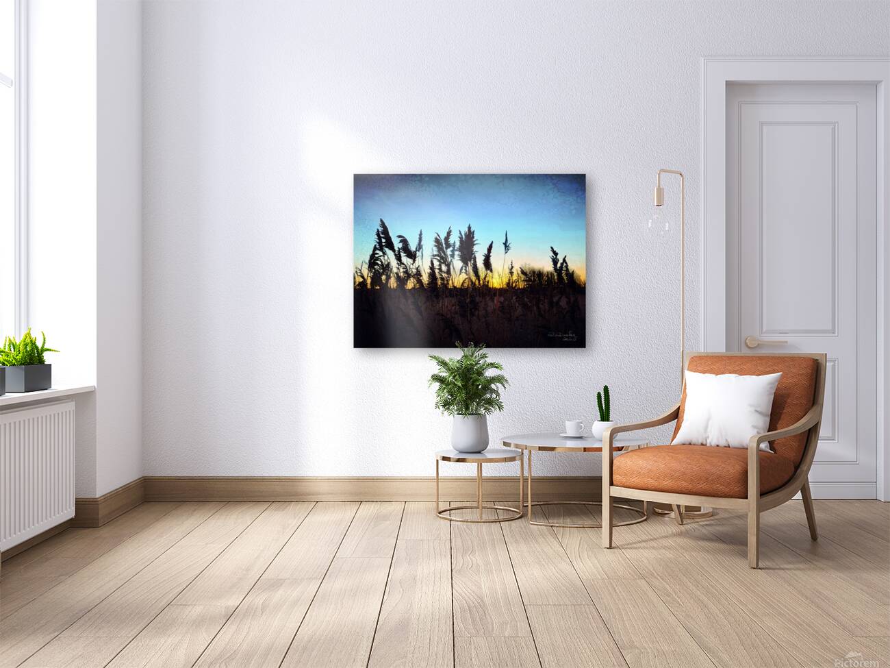 Sunrise Reproduction