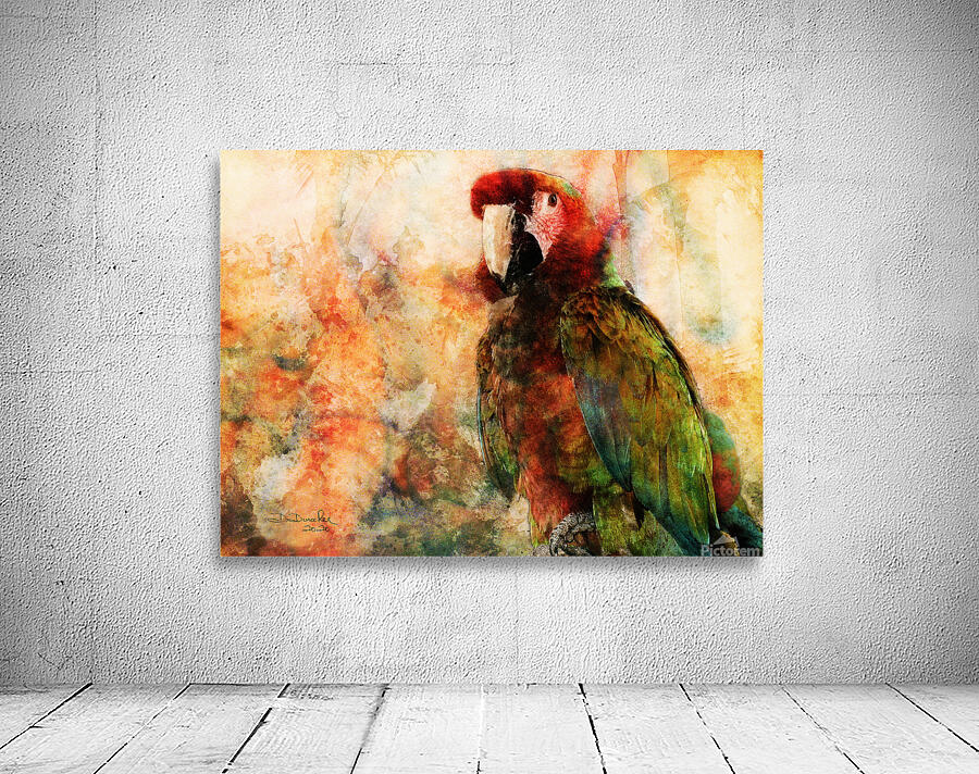 Parrot Wall Preview