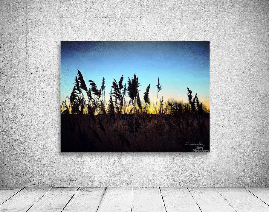 Sunrise Wall Preview