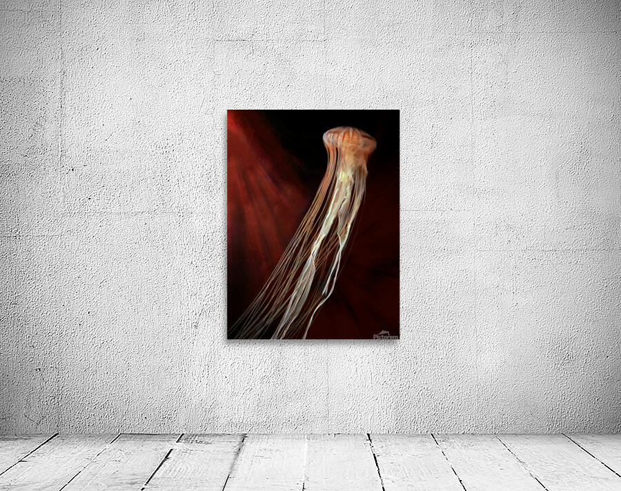 Orange Jellyfish Wall Preview