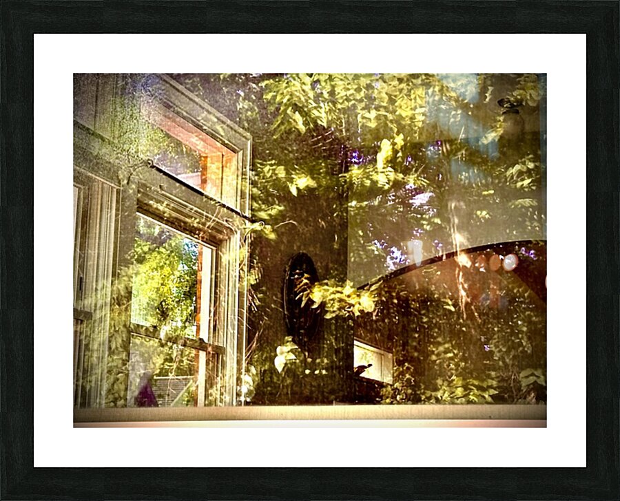 IMG 1388 Picture Frame print