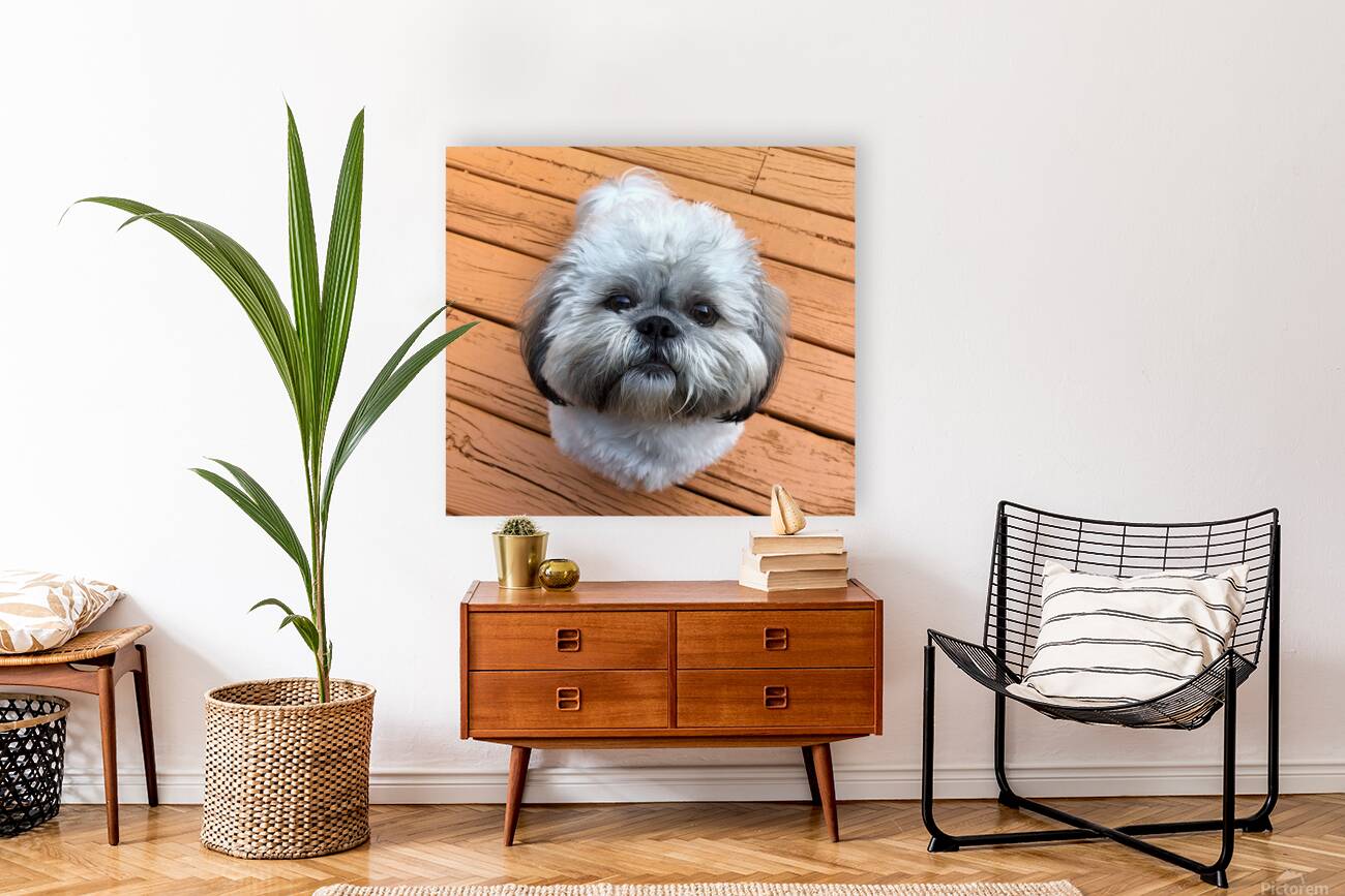 FullSizeRender Reproduction