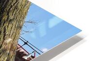 IMG 1901 HD Metal print