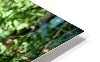 IMG 0672 HD Metal print