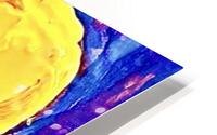 IMG 1470 HD Metal print