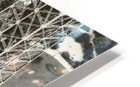IMG 0461 HD Metal print