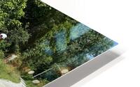 IMG 1072 HD Metal print