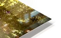 IMG 1388 HD Metal print