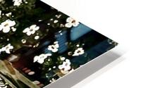 IMG 2133 HD Metal print