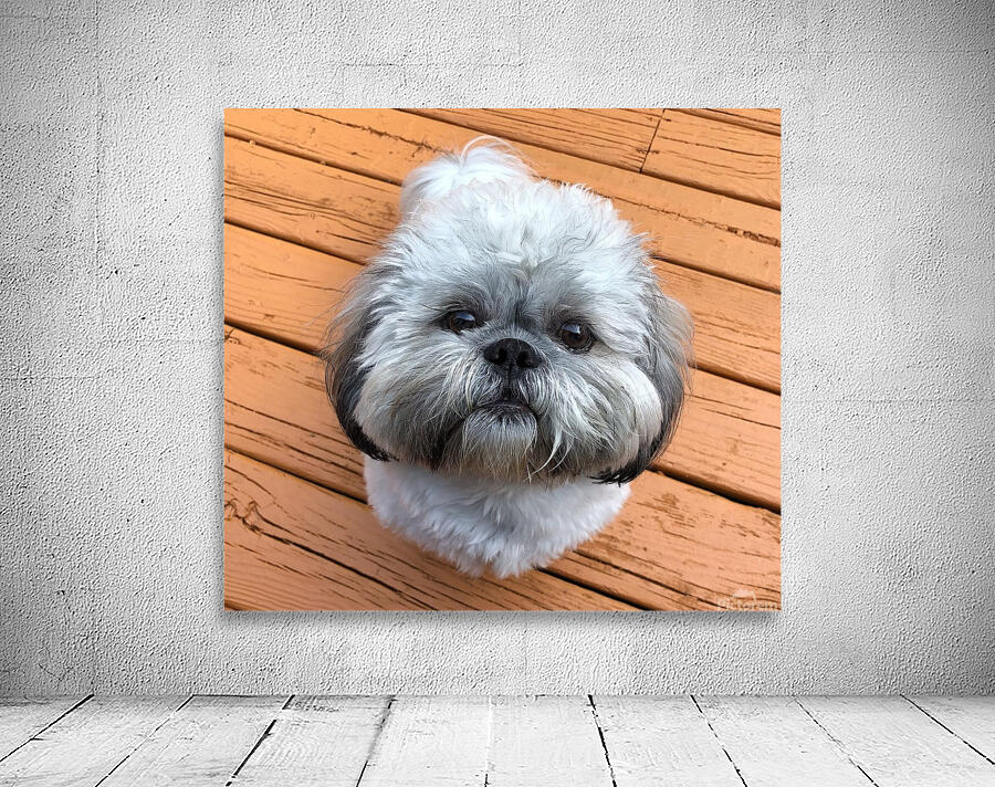 FullSizeRender Wall Preview