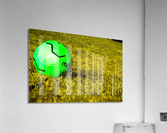 green ball Acrylic Print