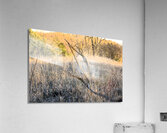 Fence line Acrylic Print