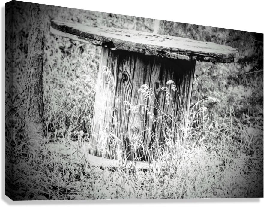DSC07605 Original Copy Canvas Print