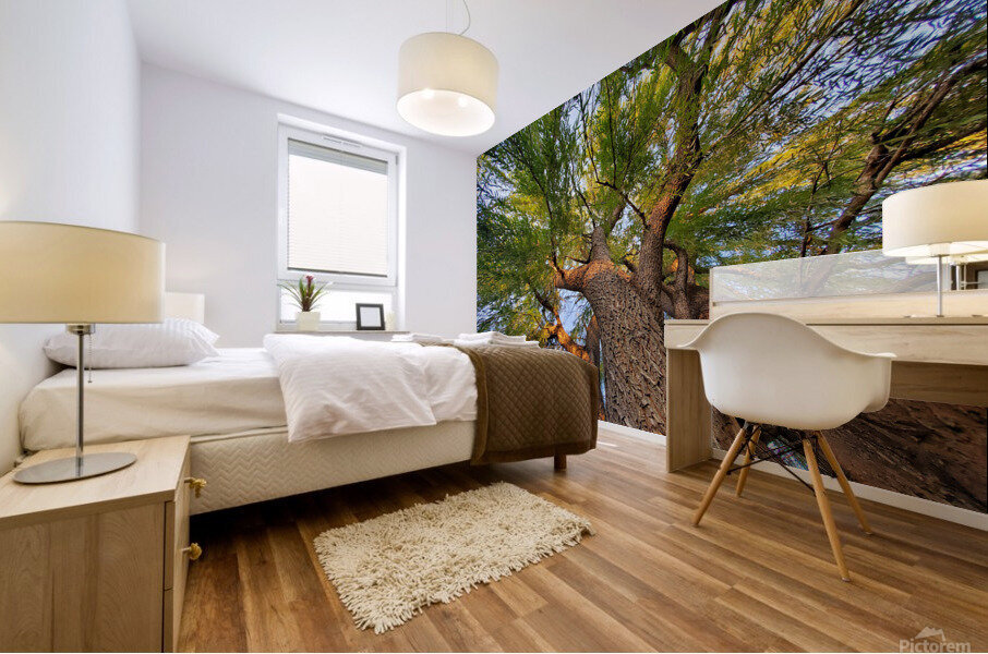 tree1 Mural print