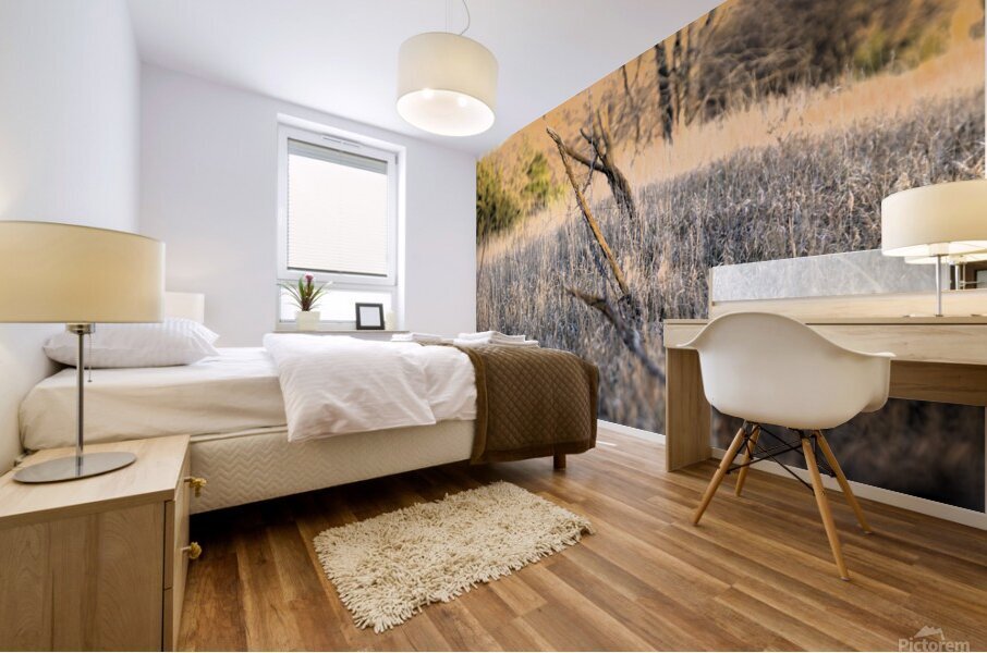 Fence line Mural print